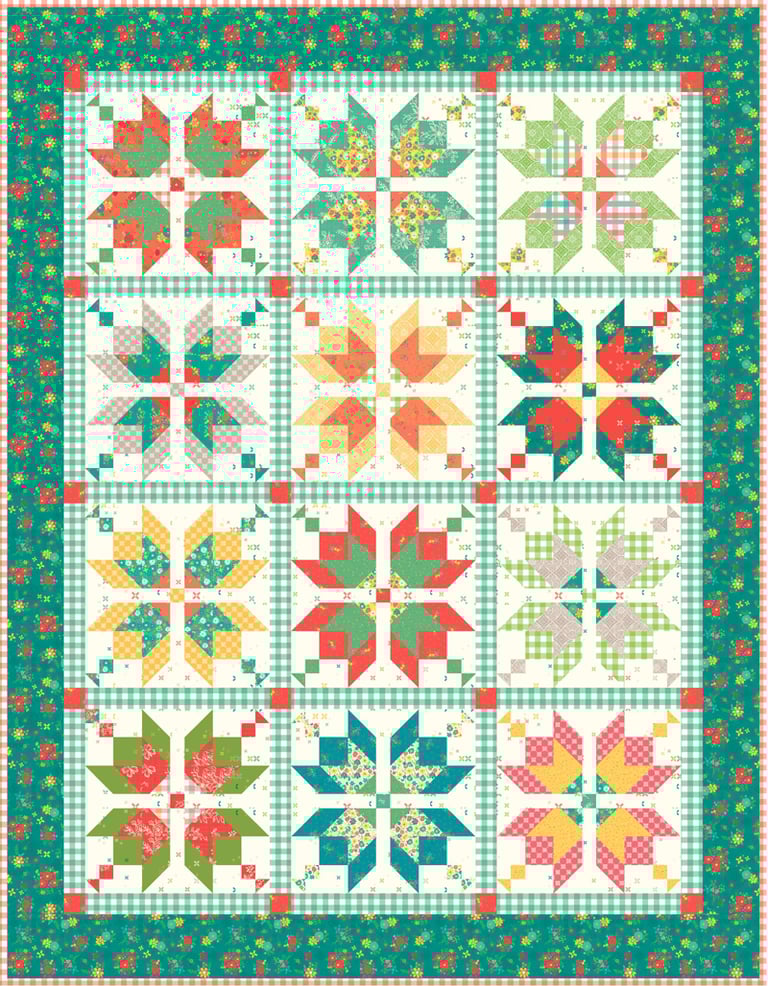 Aster In Gingham Garden