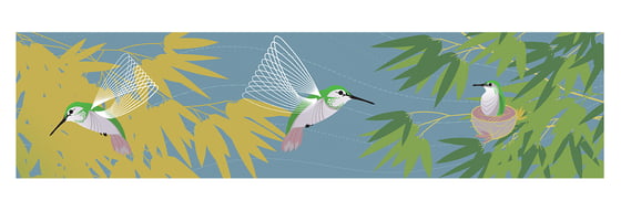 Image of "Hummingbirds" Long Print
