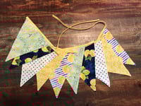 Image 1 of Lemon-1