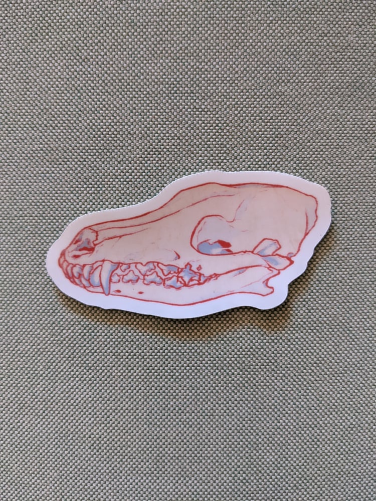 Image of COYOTE SKULL STICKER