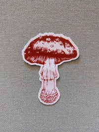 Amanita Muscaria Sticker