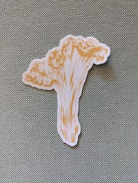 Chanterelle Sticker