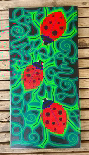 Image of Ladybugs