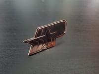 Rose Gold "Precious Metal P-Star" Pin