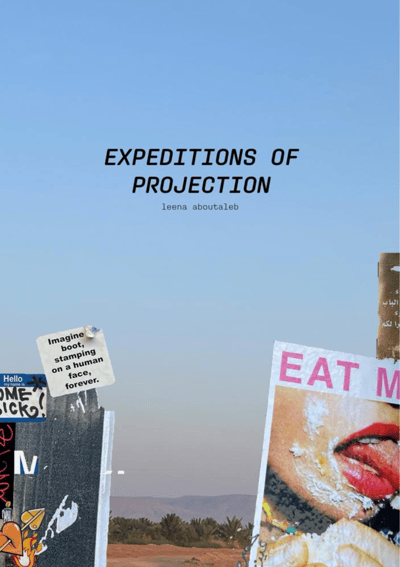 Image of Expeditions of Projection - leena aboutaleb