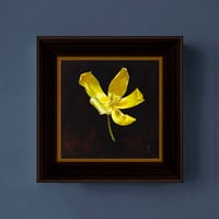 Image 3 of Yellow Tulip Portrait