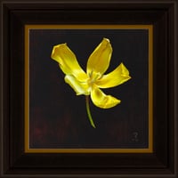 Image 1 of Yellow Tulip Portrait