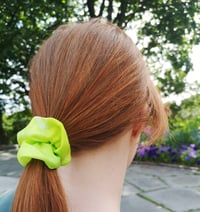 Image 2 of Green Banks of Daffodils scrunchie 4