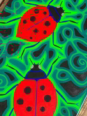 Image of Ladybugs