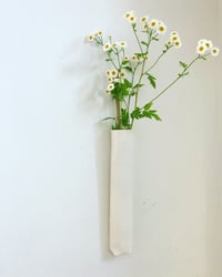 Hanging vase