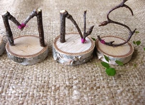 Image of 6 twig letters