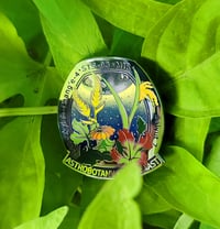 Image 1 of Astrobotany Enthusiast Pin 