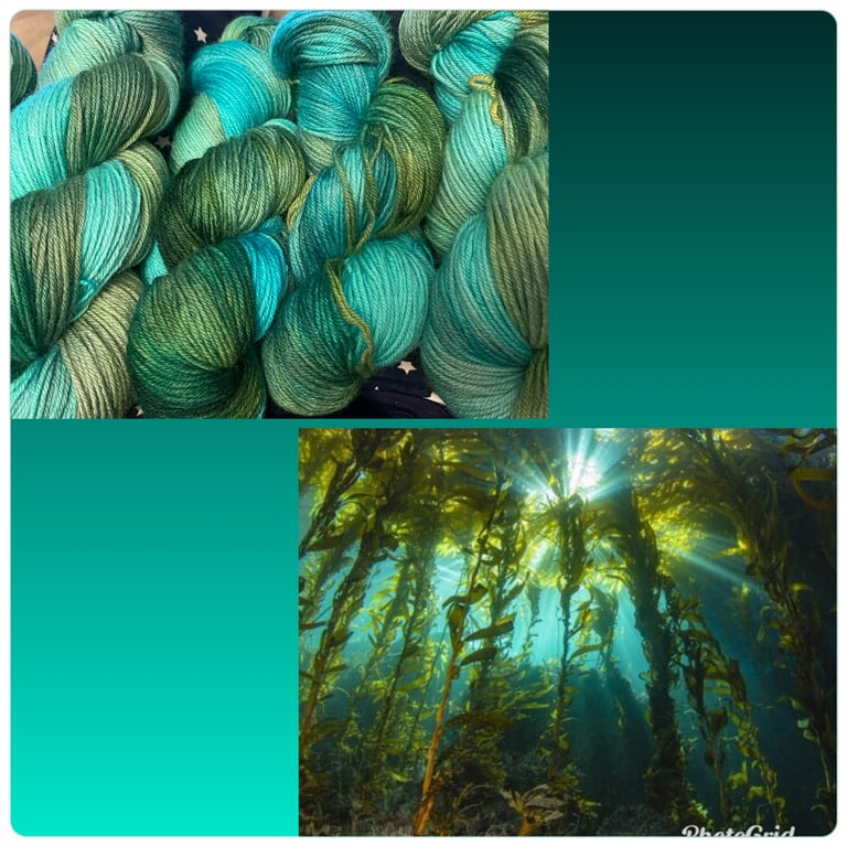 Kelp Forest  Image 3