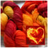 Heart of the Fire  Image 3