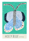Holly Blue Butterfly