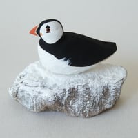 Image 3 of Guano Puffin