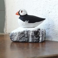 Image 4 of Guano Puffin