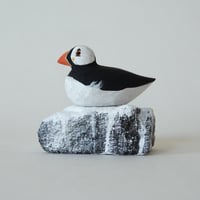 Image 5 of Guano Puffin