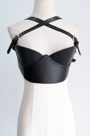 Image of SAMPLE SALE - Unreleased Harness 10