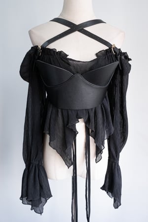 Image of SAMPLE SALE - Unreleased Harness 10
