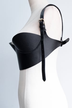 Image of SAMPLE SALE - Unreleased Harness 10