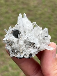 Image 1 of Huebnerite & Fine Quartz Points Specimen #2617