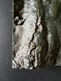 Image 4 of Bronze Door Furniture Set with Tree Bark Design