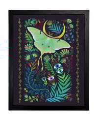 Image 2 of Constellation