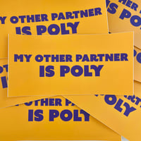 My other partner is poly