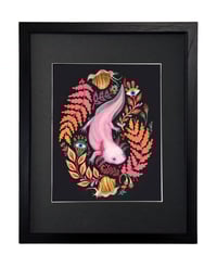 Image 3 of Kiwi Mango