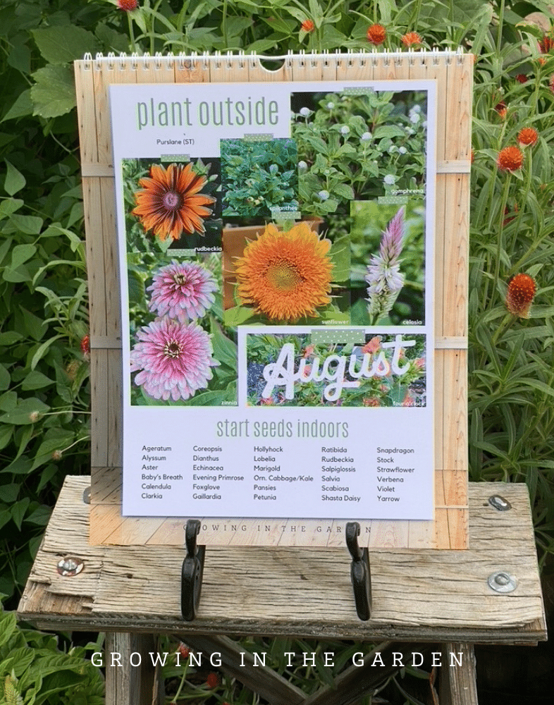 Perpetual Annual Flower Planting Calendar Growing in the Garden