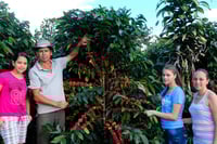 Image 2 of (New) Costa Rica-Cafe Vida-Central Valley (Medium Roast)