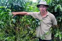 Image 1 of (New) Costa Rica-Cafe Vida-Central Valley (Medium Roast)