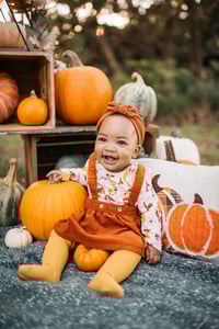 Image 2 of Pumpkin Minis 2025