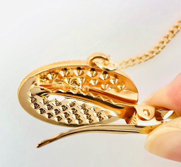 Image of Luxury Pacifier