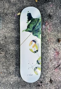 Image 1 of In Maple We Trust 8.25