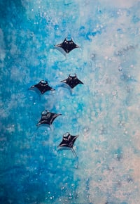 Mantarays Print