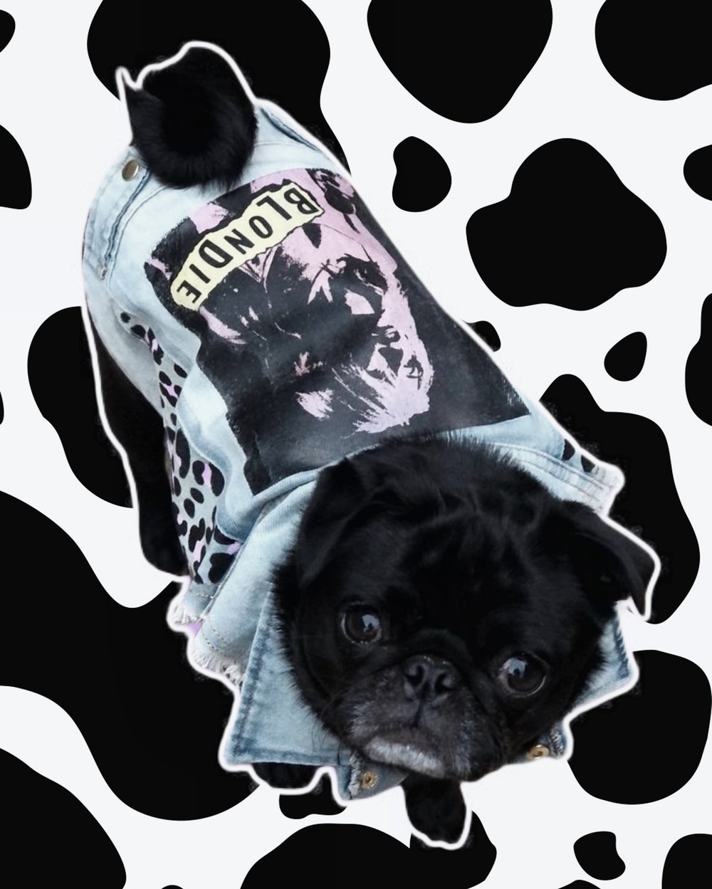 Blondie Battle Jackets - M
