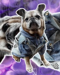Image 1 of HD Hoodie/Battle Jacket Set - M