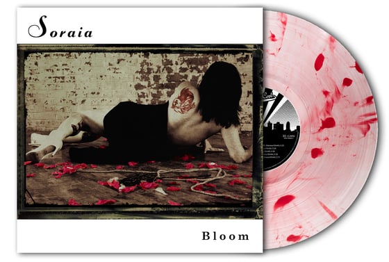 Image of Bloom LP (2022) Vinyl