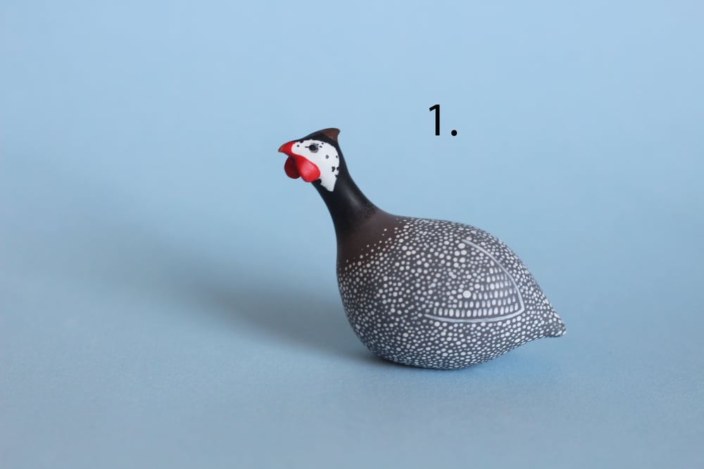 Image of Guinea fowl