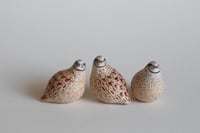 Image 1 of Quail