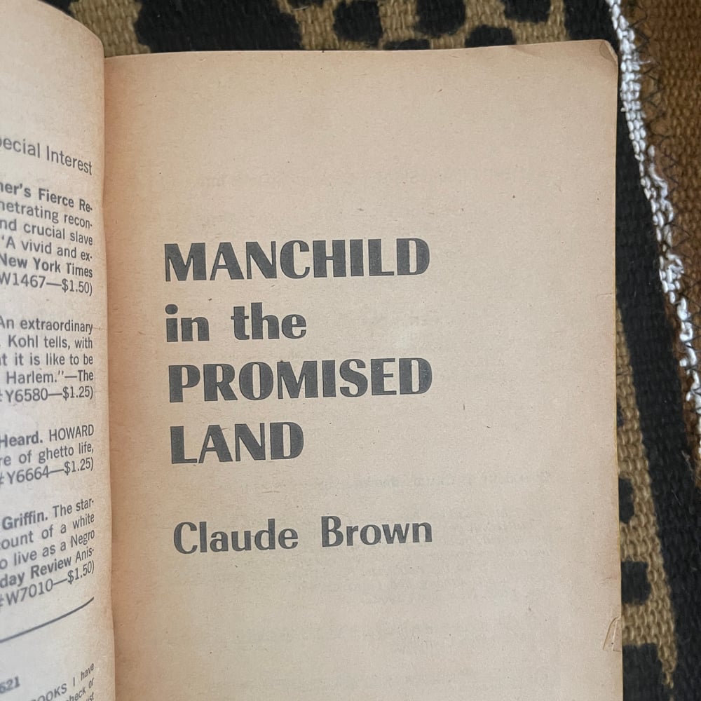 Manchild In The Promised Land