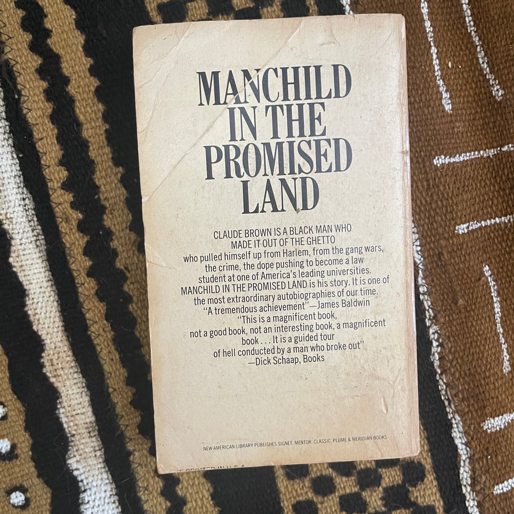 Manchild In The Promised Land
