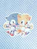 Sonic and Tails Retro Gaming 3" Waterproof Vinyl Sticker
