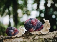 Snail Buddies