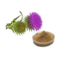 Milk Thistle