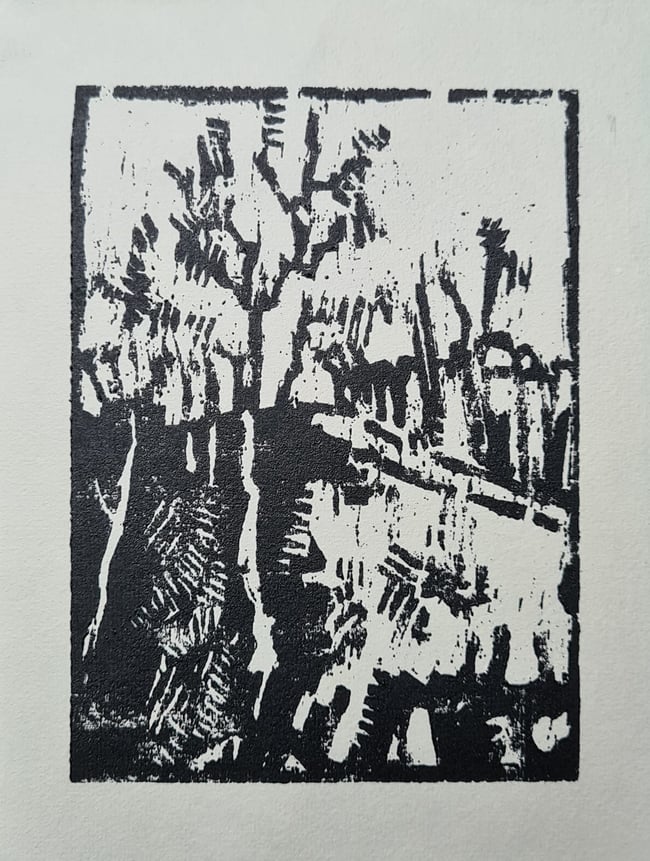 Silver Birch at Lawrencefield