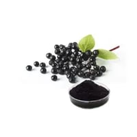 Elderberry