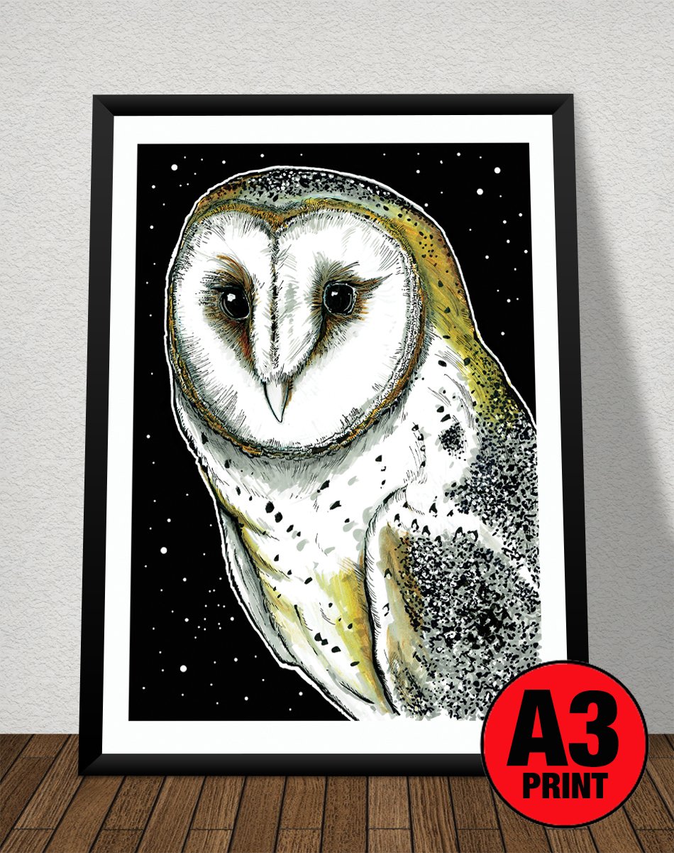 Image of Barn Owl At Night Art Print Signed A3 Size (16" x 12")